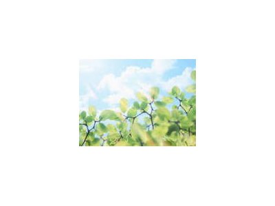 今週の予約状況6/8-6/14