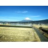 久々の富士山！