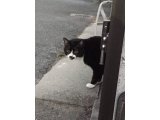 おはようございます。今週もハッピースマイルでよろしくお願いいたします。