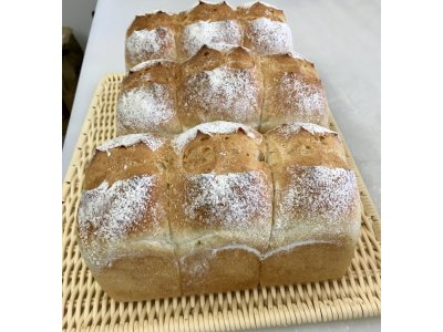 本日(12月4日(月))は『天然酵母食ぱん』の販売日