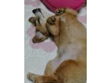 くれぐれも豪雨による被害にご注意を!
