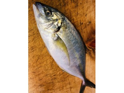 今日の仕込みは大変です