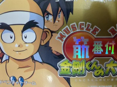 レアなゲームの商品情報