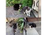 おはようございます。きょうもコロナに負けないハッピーな笑顔で頑張りましょう。