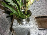 大庭台墓園お水取り換え