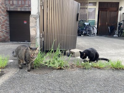 おはようございます。きょうもコロナに負けない元気な笑顔で頑張りましょう。
