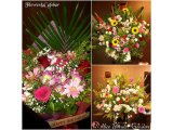 ◆本日のお花たち◆