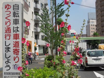 梅雨の晴れ間