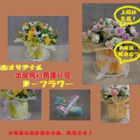 FlowerShop　カモミール
