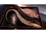 厳選鮮魚のお造り 680円 ～ 2,080円（税込）