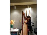☆「楽器地球儀ライブコンサート Vol.１」－南米パラグアイの民族楽器アルパ奏者高橋咲子さんを迎えて、楽しく、美しい音色のすばらしい生演奏をたっぷり、大盛況のうちに終了いたしました(^。^)y-.。o○