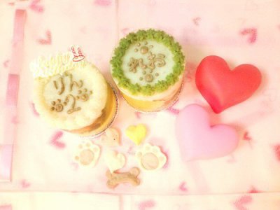 ◆お野菜テリーヌケーキ（２個セット）◆手作りの安心無添加愛犬用ケーキ愛猫用ケーキ