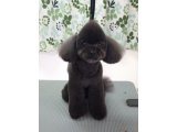 2016/3/8(火)