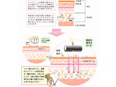 新規お客様イオン導入無料！