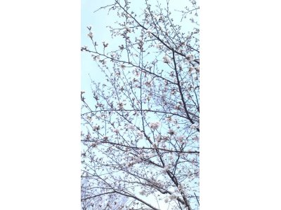 大将のおすすめ☆