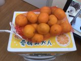 お客様からの頂き物