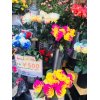 ＪＲ線渋谷駅より徒歩30秒！夜間診療ＯＫのむちうち交通事故・労災治療の整骨院・原宿・新宿