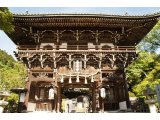 NO JOURNEY NO LIFE 京都第7弾 #74 善峯寺