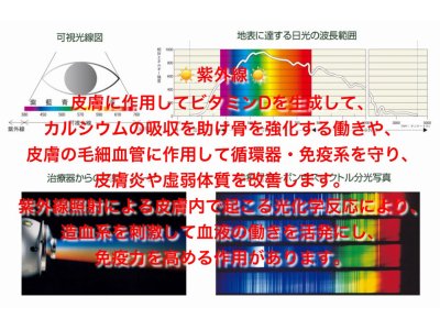 光線療法で感染症に負けないカラダ作りをしましょう。