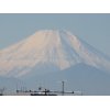 横縞の富士山