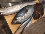 個々の物差し