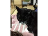 おはようございます。きょうも元気な笑顔で頑張りまーす。