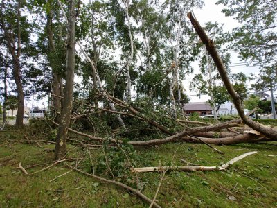 台風の爪痕