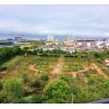 江戸川、荒川