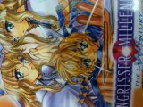 レアなゲームの商品情報