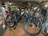 マウンテンバイク入荷。