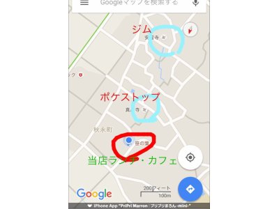 笹の葉に寄ってポケモンGOをしませんか？