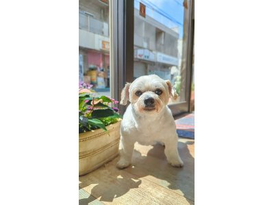 クーくん