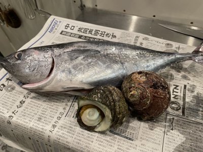 栄枯盛衰