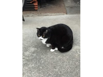 おはようございます。きょうもハッピーな笑顔でよろしくお願いいたします。