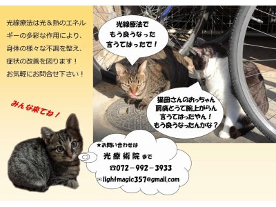 光療術院（ひかりりょうじゅついん）にゃんこ劇場