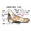 女子中学生がテニスで右足関節を捻挫して来院！8
