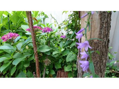 本日6時~8時まで貸切です