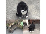 おはようございます。きょうもキラキラ笑顔で楽しく過ごしましょう。