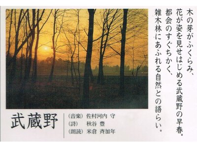 山河憧憬-武蔵野