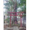 ＜小さな小さな、中野木・八坂神社　中野木公園の不思議？＞　⑤