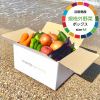 淡路島産規格外野菜ボックス - Mサイズ（2～3人向け）
