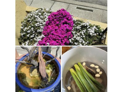今日は真夏なみ!!