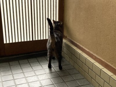 おはようございます。きょうもコロナに負けない元気な笑顔で頑張りましょう。