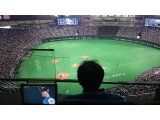 野球観戦
