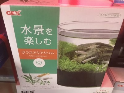 キャンペーン継続！