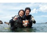 屋久島の海でダイビングを体験してみよう！