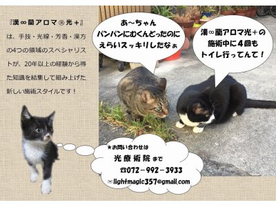 光療術院（ひかりりょうじゅついん）にゃんこ劇場