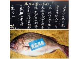 旨いもん目白押し!