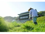 上川養鱒場たより 11月 4日 朝