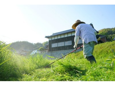 上川養鱒場たより 11月 4日 朝